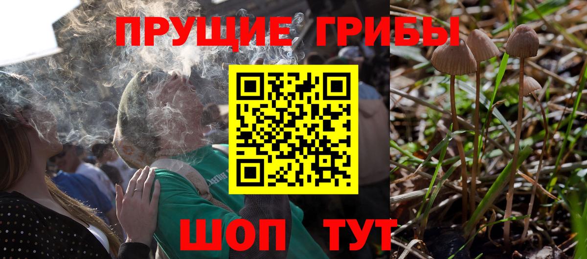 Домодедово  Галлюциногенные грибы мухоморы  Вход с VPN 